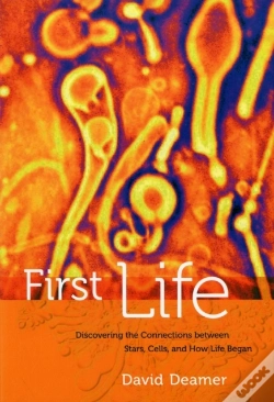 Capa do artigo First Life
