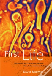 Capa do artigo First Life