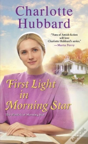 Capa do artigo First Light In Morning Star