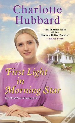 Capa do artigo First Light In Morning Star