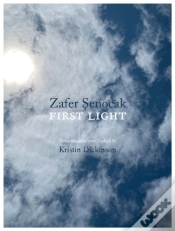 Capa do artigo First Light