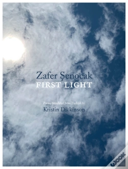 Capa do artigo First Light