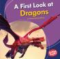 First Look At Dragons - Preview