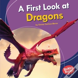 Capa do artigo First Look At Dragons