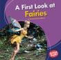 First Look At Fairies - Preview
