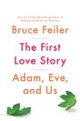 First Love Story - Preview