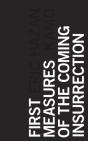 First Measures Of The Coming Insurrection - Preview