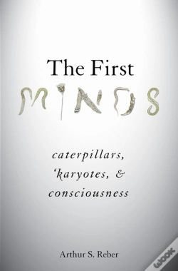 Capa do artigo First Minds