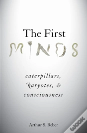 Capa do artigo First Minds