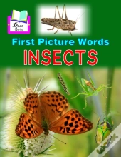 First Picture Words
