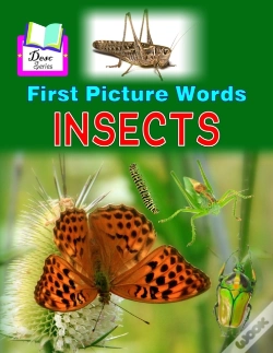 Capa do artigo First Picture Words
