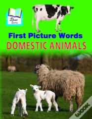 First Picture Words