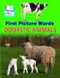 First Picture Words - Preview