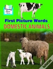Capa do artigo First Picture Words
