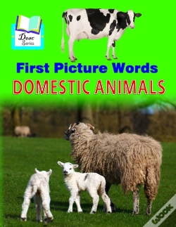 Capa do artigo First Picture Words