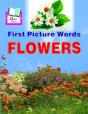 First Picture Words - Preview