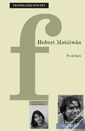 Capa do artigo First Rain