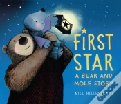 Capa do artigo First Star