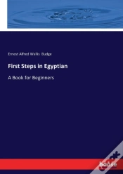 Capa do artigo First Steps In Egyptian