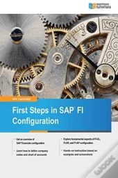 First Steps In Sap Fi Configuration