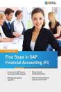 First Steps In Sap Financial Accounting (Fi) - Preview