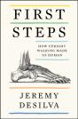 First Steps - Preview