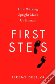 Capa do artigo First Steps