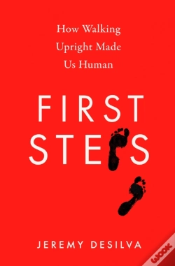 Capa do artigo First Steps