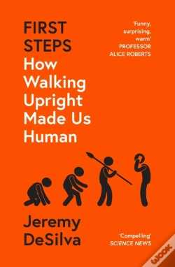 Capa do artigo First Steps