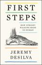 First Steps - Preview