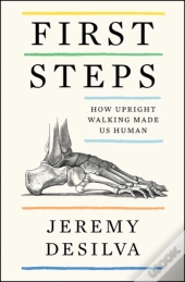 First Steps