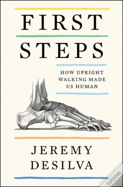 Capa do artigo First Steps