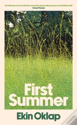 Capa do artigo First Summer