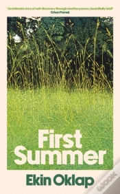 Capa do artigo First Summer
