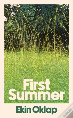 Capa do artigo First Summer
