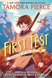 Capa do artigo First Test Graphic Novel