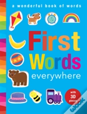 Capa do artigo First Words Everywhere