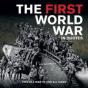First World War In Quotes - Preview
