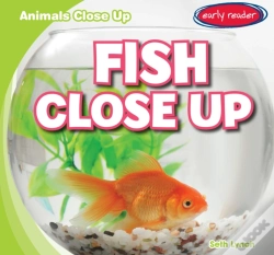 Capa do artigo Fish Close Up