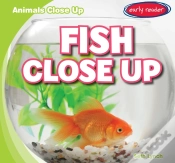 Capa do artigo Fish Close Up
