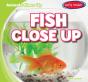Fish Close Up - Preview