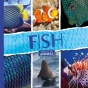 Fish - Preview