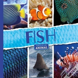Capa do artigo Fish