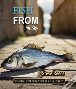Capa do artigo Fish From The Sky