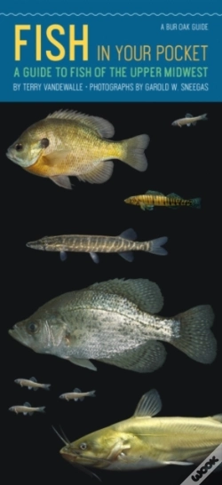 Capa do artigo Fish In Your Pocket