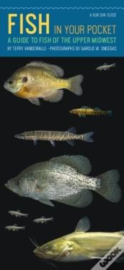 Capa do artigo Fish In Your Pocket