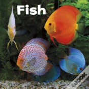 Capa do artigo Fish
