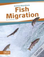 Fish Migration