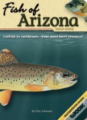 Capa do artigo Fish Of Arizona Field Guide