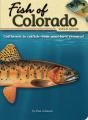 Fish Of Colorado Field Guide - Preview